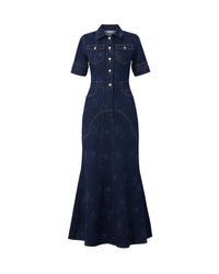 Sea of Stars Denim Dress