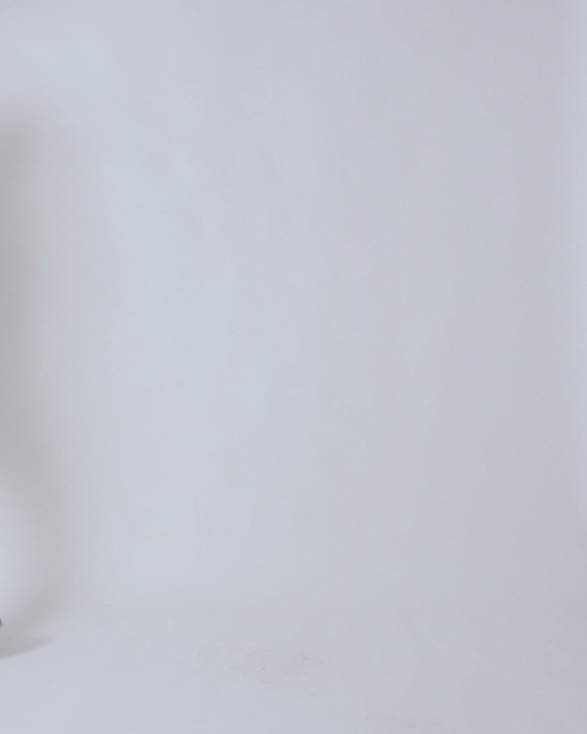 Willow Dream Lace Top